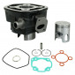 CYLINDRE SCOOT ADAPTABLE MBK 50 NITRO, MACH G/YAMAHA 50 AEROX, JOG R/MALAGUTI 50 F12, F15 LIQUIDE/APRILIA 50 SR LIQUIDE -P2R FONTE PREMIUM- 3700948020616