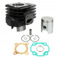 CYLINDER FOR SCOOT CPI 50 POPCORN/OLIVER/ARAGON/HUSSAR/KEEWAY 50 FOCUS/HURRICANE/MATRIX/F-ACT/GENERIC 50 XOR/IDEO (PIN OF 12) - CAST IRON - P2R PREMIUM - 3700948020517