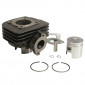 CYLINDRE SCOOT ADAPTABLE SUZUKI 50 KATANA, ADRESS (DIAM 41mm) - P2R FONTE PREMIUM- 3700948020876