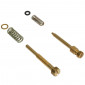 VIS DE RALENTI + VIS D'AIR POUR CARBURATEUR PWK 21mm (VENDU AVEC LES 2 RESSORTS) 3700948063187
