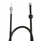 TRANSMISSION SPEEDOMETER CABLE FOR 50cc MOTORBIKE BETA 50 RR 1999> -SELECTION P2R- 8430525113961