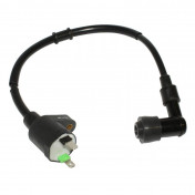 BOBINE ALLUMAGE MAXISCOOTER ADAPTABLE PIAGGIO 125 LIBERTY 2001>2008, VESPA ET4 1999>2002, BEVERLY 2001>2009, VESPA GTS 2007>, 250 BEVERLY 2004>2007 -P2R- 3700948107959
