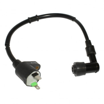 IGNITION COIL FOR MAXISCOOTER PIAGGIO PIAGGIO 125 LIBERTY 2001>2008, VESPA ET4 1999>2002, BEVERLY 2001>2009, VESPA GTS 2007>, 250 BEVERLY 2004>2007 -P2R- 3700948107959