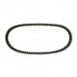 COURROIE SCOOT POLINI ORIGINAL POUR MBK 50 BOOSTER, NITRO (POUR VARIATEUR GRANDE PLAGE)/YAMAHA 50 BWS, AEROX (POUR VARIATEUR GRANDE PLAGE) (750 x 16,8 x 9 mm x 30°) (248.003) 8054705080739