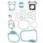 COMPLETE GASKET SET - FOR MAXISCOOTER YAMAHA 125 XMAX 2006>, X-CITY 2008>/MBK 125 SKYCRUISER 2006>, CITYLINER 2008> - -ARTEIN- 8434579003773