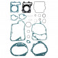 COMPLETE GASKET SET - FOR MAXISCOOTER KYMCO 125 DINK, GRAND DINK 2006>- -ARTEIN-
