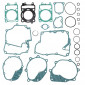 COMPLETE GASKET SET - FOR MAXISCOOTER SYM 125 HD 2003>, GTS 2007>, JOY RIDE 2003> - -ARTEIN- 8434579003872