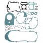 COMPLETE GASKET SET - FOR MAXISCOOTER PEUGEOT 125 TWEET 2010>/SYM 125 EURO MIX 2002>, SYMPHONIE 2009> - -ARTEIN-