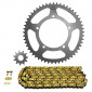 CHAIN AND SPROCKET KIT FOR GENERIC 50 TRIGGER SM 2006>2018, X TRIGGER 2006>2018 420 11x53 (BORE Ø 100mm) (OEM SPECIFICATION) -AFAM- 5400598055713