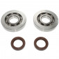 ROULEMENT D'EMBIELLAGE + JOINT MAXISCOOTER P2R ADAPTABLE PIAGGIO 125 HEXAGON 2T, 125 SKIPPER 2T, 125 TYPHOON 2T/GILERA 125 RUNNER 2T (KIT) 3700948177112
