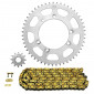 CHAIN AND SPROCKET KIT FOR BETA 50 RR 2002>2005 420 12x51 (BORE Ø 100mm) (OEM SPECIFICATION) -AFAM- 5400598043253