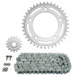 CHAIN AND SPROCKET KIT FOR HONDA 700 INTEGRA 2012>2013 520 16x39 (OEM SPECIFICATION) -AFAM-