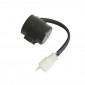 CENTRALE CLIGNOTANTE SCOOT ADAPTABLE SCOOT 50 CHINOIS GY6, 139 QMB (3 BROCHES) -P2R- 3700948063965