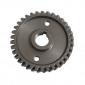 SPROCKET FOR BALANCE SHAFT FOR MINARELLI 50 AM6/MBK 50 X-POWER, X-LIMIT/YAMAHA 50 TZR, DTR/PEUGEOT 50 XPS, XR6/RIEJU 50 RS1, SMX/BETA 50 RR/APRILIA 50 RS -SELECTION P2R- 3700948065006