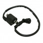 IGNITION COIL FOR 50cc MOTORBIKE MINARELLI 50 AM6/MBK 50 X-POWER/YAMAHA 50 TZR/PEUGEOT 50 XPS/RIEJU 50 RS1/APRILIA 50 RS -SELECTION P2R- 3700948063439