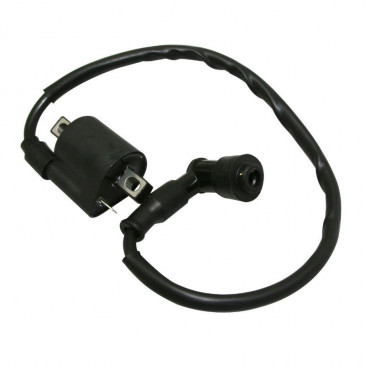 IGNITION COIL FOR 50cc MOTORBIKE MINARELLI 50 AM6/MBK 50 X-POWER/YAMAHA 50 TZR/PEUGEOT 50 XPS/RIEJU 50 RS1/APRILIA 50 RS -SELECTION P2R- 3700948063439