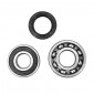 BEARING FOR CRANKSHAFT+SEALS FOR MOPED P2R FOR SOLEX 3800 (KIT 6202+6203 ZKL)