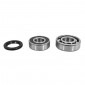 BEARING FOR CRANKSHAFT+SEALS FOR MOPED P2R FOR SOLEX 3800 (KIT 6202+6203 ZKL)