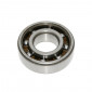 ROULEMENT D'EMBIELLAGE 6204 (20x47x14) SKF TN9/C4 CAGE POLYAMIDE ADAPTABLE MBK 50 BOOSTER/YAMAHA 50 BWS/DERBI 50 SENDA/PEUGEOT 50 LUDIX, 103/CPI 50 ARAGON, OLIVER/KEEWAY 50 FOCUS (VENDU A L'UNITE) 7316576628696