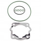 GASKET SET FOR CYLINDER KIT TOP PERF CAST IRON FOR DERBI 50 SENDA 1996>2005, GPR/GILERA 50 SMT 2000>2005, RCR ( DERBI EURO 2) -