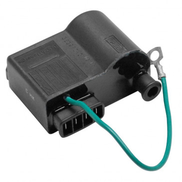 BOBINE ALLUMAGE AVEC CDI 50 A BOITE ADAPTABLE MINARELLI 50 AM6 / MBK 50 X POWER / YAMAHA 50 TZR / PEUGEOT 50 XPS / RIEJU 50 RS1 / APRILIA 50 RS (CDI VOLANT DUCATI) -TOP PERFORMANCES- 3700948159682
