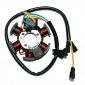 IGNITION STATOR FOR 50CC MOTORBIKE DERBI 50 GPR2006>2010, SENDA DRD PRO 2005>2010/APRILIA 50 RS 2006>2010 -TOP PERF AS ORIGINAL- 3700948159705