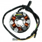 IGNITION STATOR FOR 50CC MOTORBIKE MINARELLI 50 AM6 (DUCATI, LONG BUNDLE) -TOP PERFORMANCE