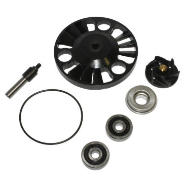 KIT REPARATION POMPE A EAU MAXISCOOTER ADAPTABLE PIAGGIO 125 MP3-X EVO-X7-X8-X9-GTS / APRILIA 125 ATLANTIC / GILERA 125 NEXUS (ROULEMENTS DIAMETRE 28) (TYPE ORIGINE) -TOP PERFORMANCES- 3700948162514