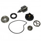 KIT REPARATION POMPE A EAU MAXISCOOTER ADAPTABLE PIAGGIO 250 BEVERLY 2006>, 250 X8, 250 X9 EVOLUTION, 300 MP3 2010>, 300 VESPA GTS 2008>/GILERA 250-300 NEXUS (KIT) -SELECTION P2R- 1001102100001