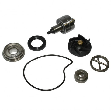 KIT REPARATION POMPE A EAU MAXISCOOTER ADAPTABLE PIAGGIO 250 BEVERLY 2006>, 250 X8, 250 X9 EVOLUTION, 300 MP3 2010>, 300 VESPA GTS 2008>/GILERA 250-300 NEXUS (KIT) -SELECTION P2R-