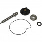 REPAIR KIT FOR WATER PUMP FOR MAXISCOOTER PIAGGIO 400 MP3 2007>, 400 X-EVO 2007>, 400 BEVERLY 2006>, 500 BEVERLY 2012>, 500 X9 2001>, 500 MP3 2011>, 500 X10 2012> - -SELECTION P2R- 3700948088524