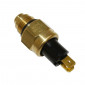 SONDE DE TEMPERATURE MAXISCOOTER ADAPTABLE KYMCO 125 DOWNTOWN, 125 BET&WIN, 250 GRAND DINK, 250 XCITING, 300 DOWNTOWN, 300 PEOPLE GTI, 500 XCITING, 700 MYROAD -SELECTION P2R- 1001200300001