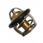 THERMOSTAT/CALORSTAT MAXISCOOTER ADAPTABLE KYMCO 125 DOWNTOWN, 125 BET&WIN, 250 GRAND DINK, 250 XCITING, 300 DOWNTOWN, 300 PEOPLE GTI, 500 XCITING -SELECTION P2R- 1001200100001