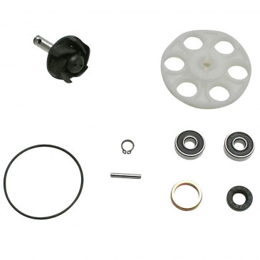 KIT REPARATION POMPE A EAU SCOOT ADAPTABLE MBK 50 NITRO / YAMAHA 50 AEROX / MALAGUTI 50 F12 / APRILIA 50 SR 1995>1999 / BETA 50 ARK / ITALJET 50 DRAGSTER, FORMULA (TYPE ORIGINE) -TOP PERFORMANCES- 3700948160602