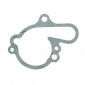 GASKET FOR WATER PUMP FOR ADAPTABLE MINARELLI 50 AM6/MBK 50 X-POWER/YAMAHA 50 TZR/PEUGEOT 50 XPS/RIEJU 50 RS1/APRILIA 50 RS (SOLD PER UNIT) -TOP PERF AS ORIGINAL- 3700948160633