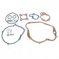 COMPLETE GASKET SET - FOR MINARELLI 50 AM6 2000>/MBK 50 X-LIMIT, X-POWER/YAMAHA 50 DTR, TZR/PEUGEOT 50 XPS/RIEJU 50 RS1/APRILIA 50 RS - -TOP PERFORMANCE AS ORIGINAL- 3700948160947
