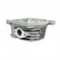 CYLINDER HEAD FOR SCOOT FOR CHINESE SCOOTER 50 4-STROKE GY6-139QMB/PEUGEOT 50 KISBEE/V-CLIC 4-STROKE/KYMCO 50 AGILITY 4-STROKE/SYM 50 ORBIT 4-STROKE/BAOTIAN 50 BT49QT 4-STROKE (SOLD NAKED) -SELECTION P2R- 3700948064252