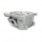 CYLINDER HEAD FOR SCOOT FOR CHINESE SCOOTER 50 4-STROKE GY6-139QMB/PEUGEOT 50 KISBEE/V-CLIC 4-STROKE/KYMCO 50 AGILITY 4-STROKE/SYM 50 ORBIT 4-STROKE/BAOTIAN 50 BT49QT 4-STROKE (SOLD NAKED) -SELECTION P2R- 3700948064252