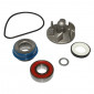 REPAIR KIT FOR WATER PUMP FOR MAXISCOOTER HONDA 125 PANTHEON 1998>2002 MOTEUR 2 TPS - -SELECTION P2R- 1001101800001