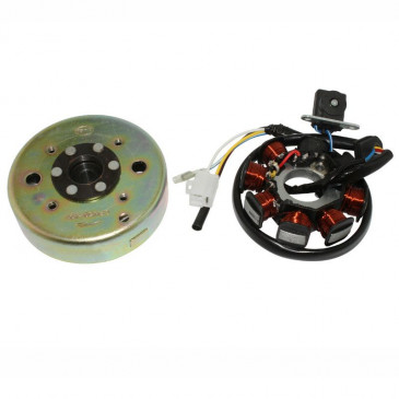 IGNITION FOR SCOOT FOR CHINESE 50 4-STROKE GY6,139QMB/PEUGEOT 50 KISBEE, V-CLIC 4-STROKE/KYMCO 50 AGILITY 4-STROKE/SYM 50 ORBIT 4-STROKE/BAOTIAN 50 BT49QT 4-STROKE (8 POLES) -SELECTION P2R- 3700948126400