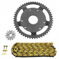 KIT CHAINE ADAPTABLE DERBI 50 SENDA SM CLASSIC 1999->2002 420 13x53 (DIAM COURONNE 53/125/8.25) (DEMULTIPLICATION ORIGINE) -AFAM- 5400598044922