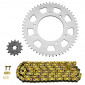 CHAIN AND SPROCKET KIT FOR DERBI 50 SENDA SM DRD RACING 2002>2005 420 14x53 (BORE Ø 102mm) (OEM SPECIFICATION) -AFAM-