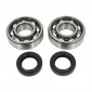 BEARING FOR CRANKSHAFT+SEALS FOR SCOOT P2R FOR PEUGEOT 50 LUDIX, SPEEDFIGHT 3, JET FORCE (KIT 6204 FAG STEEL C3 + NITRILE SEALS)