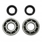 BEARING FOR CRANKSHAFT+SEALS FOR SCOOT P2R FOR PEUGEOT 50 LUDIX, SPEEDFIGHT 3, JET FORCE (KIT 6204 FAG POLYAMIDE C3 + NITRILE SEALS) 3701213410477