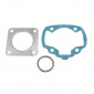GASKET SET FOR CYLINDER KIT FOR SCOOT PEUGEOT 50 TKR, TREKKER, BUXY, ZENITH, SV50 (3 GASKETS SET) -ARTEIN- 8434579005678