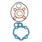 GASKET SET FOR CYLINDER KIT FOR MINARELLI 50 AM6 2000>/MBK 50 X-POWER, X-LIMIT/YAMAHA 50 TZR, DTR/PEUGEOT 50 XPS/RIEJU 50 RS1/BETA 50 RR/APRILIA 50 RS 2000>2005 - -ARTEIN- 8434579005609