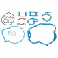 COMPLETE GASKET SET - FOR MINARELLI 50 AM6 2000>/MBK 50 X-LIMIT, X-POWER/YAMAHA 50 DTR, TZR/PEUGEOT 50 XPS/RIEJU 50 RS1/APRILIA 50 RS - -ARTEIN- 8434579002561