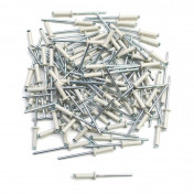 RIVET PLAQUE IMMATRICULATION 4x16 BLANC (VENDU PAR 100) 3700948124291