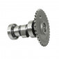 CAMSHAFT FOR CHINESE SCOOTER 50cc 4 STROKE GY6,139QMB/KYMCO 50 AGILITY 4STROKE/PEUGEOT 50 V-CLIC 4STROKE/BAOTIAN 50 BT49QT 4STROKE -P2R- (MOTOR 139QMB) 3700948063255