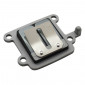 CLAPET SCOOT REPLAY FIBRE POUR MBK 50 BOOSTER, STUNT/YAMAHA 50 BWS, SLIDER (SUPPORT ALU) 3700948031988